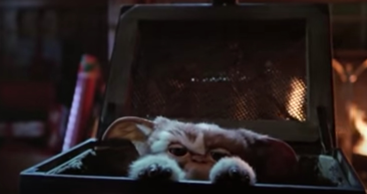 Gizmo from the Gremlins